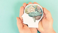 BrainLive Powder: Advanced Formula for Mental Energy and Focus
