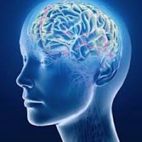 RANK >> https://www.facebook.com/Neuro-Smart-IQ-106628158508763