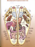 Acupressure and magnetic therapy survice