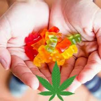 Proton Keto ACV Gummies Reviews [FRAUD or LEGIT 2024] Shocking Truth! Read SCAM Warning!