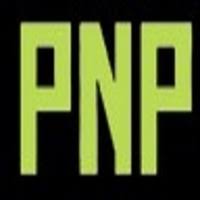 Ayurvedic pain nil powder
