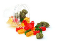 What are the Luxe Keto ACV Gummies Ingredients?
