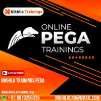 PEGA Academy Online Course