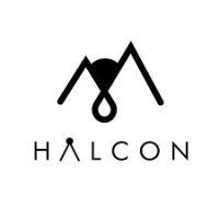 Expert Branding Services & Brand Strategy Solutions – HALCON Marketing