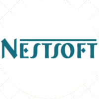 Nestsoft TechnoMaster Pvt Ltd