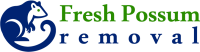 Fresh Possum Removal Sydney