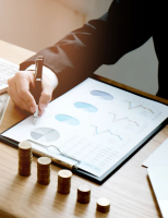 Virtual CFO Services in India