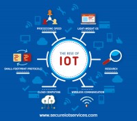 Secure IoT Services