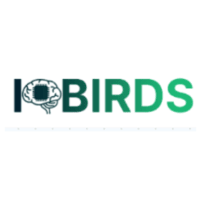 IQbirds: Elevating Your Brand with Cutting-Edge Web Solutions and Digital Marketing