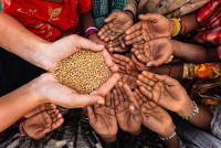 17 Reasons Why Final Famine Is Going To Be BIG In 2024