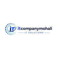 Transforming Ideas Into Digital Success – IT Company Mohali