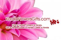 Buy Exclusive Gifts for Girlfriend in Kerala at Low Cost and get Same Day Delivery