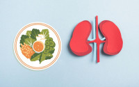 Kidney Health Cookbook - kidneycop