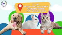 Convenient Puppy Training Near Me with Experts