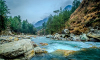 Kullu Manali Honeymoon Package