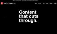 Leads & Brands – Digital Marketing Company in Bhopal
