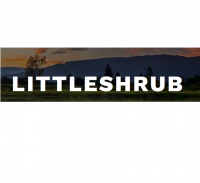 LittleShrub