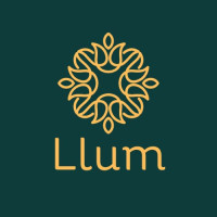 Best Home Diffuser | Llum