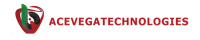 IT solution company in UAE