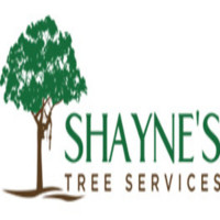 Stump Grinding Rockingham - Shayne’s Tree Services