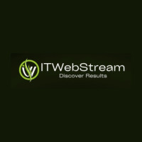 Best Digital Marketing Agency in India | SEO, PPC, Social Media Experts | IT Web Stream