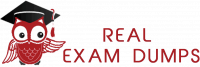 RealExamDumps Provides You the Worthy and Fruitful CLF-C01 Dumps