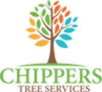 Tree Pruning Services in Dallas Fort Worth