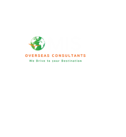 MIS Overseas Consultants