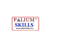 PALIUM SKILLS