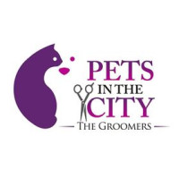 Pets in the City