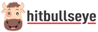 Hitbullseye