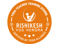 Aerial Yoga Course in Rishikesh