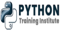 Python Training Institute