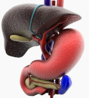 Digestive Surgery Clinic - Dr. Sachin Arora