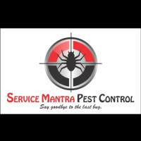Pest Control in Gurgaon