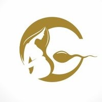 Dr. Arushi Sethi’s Golden IVF