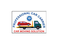 Professional Car Carrier
