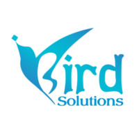 iBird Solutions – Best Digital Marketing & Web Development Agency in Ahmedabad
