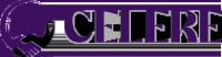 Digital Marketing & Web Development Agency