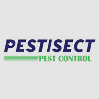 Pest Control Services in Brampton, Pest Control Mississauga, Toronto