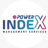 POWER INDEX MANAGEMENT SERVICES LLC