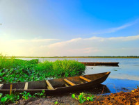 Book Maguri Beel Tour at 499/-