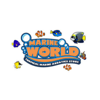 Marine World Aquatics