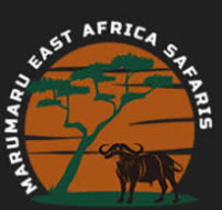 Heart of Serengeti ATS