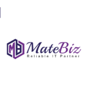 Introducing Matebiz – The Full-Service PPC Agency That Will Help You Amplify Your Online Presence