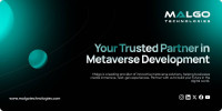 Metaverse Development Company