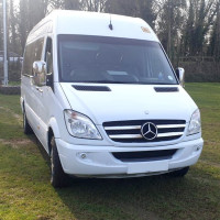 Executive Travels